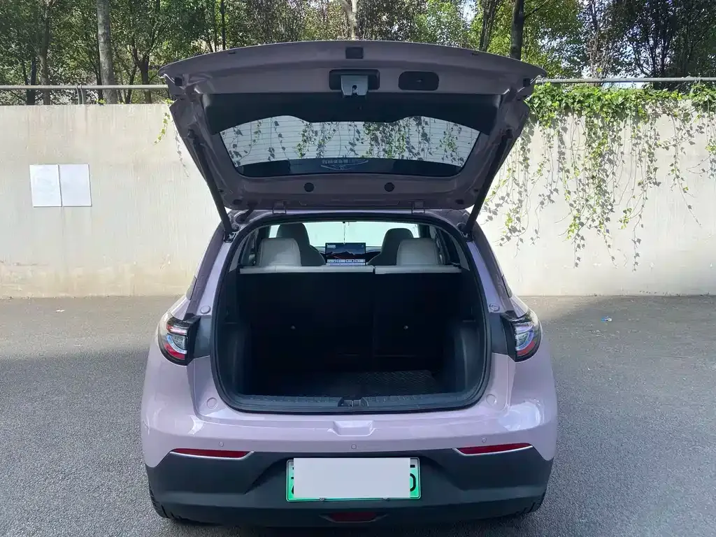 Geely Starburst — фото 9