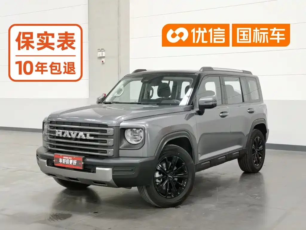 Haval Menglong New Energy — фото 1