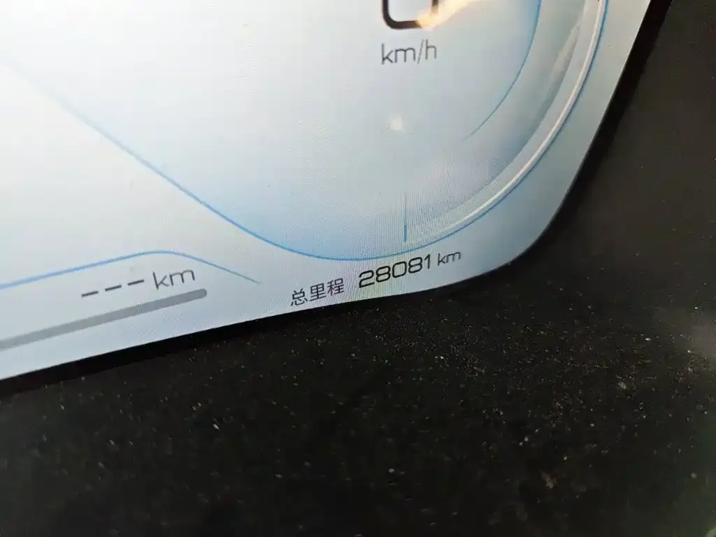 BYD PLUS New Energy — фото 1