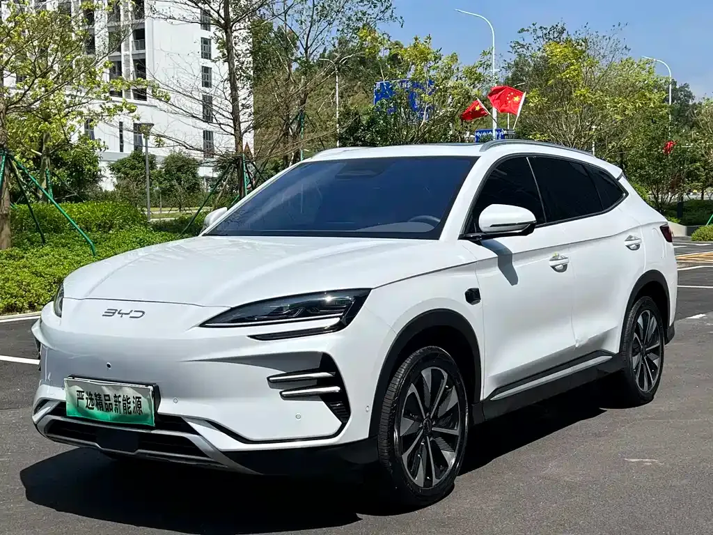 BYD PLUS New Energy — фото 1