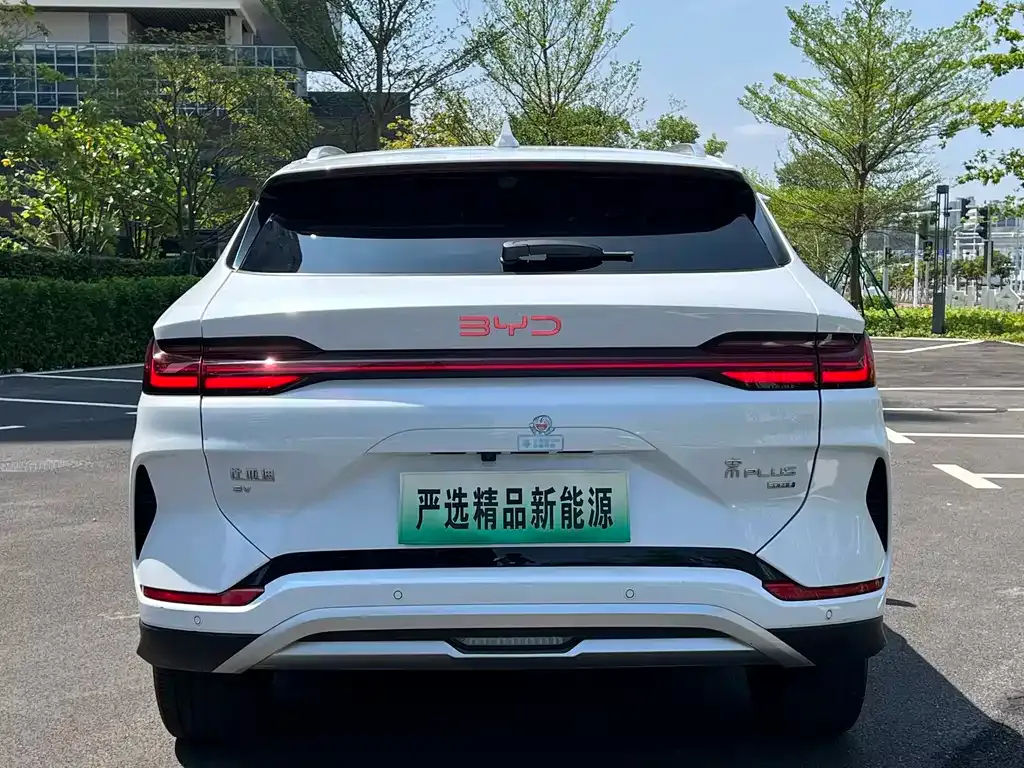 BYD PLUS New Energy — фото 6