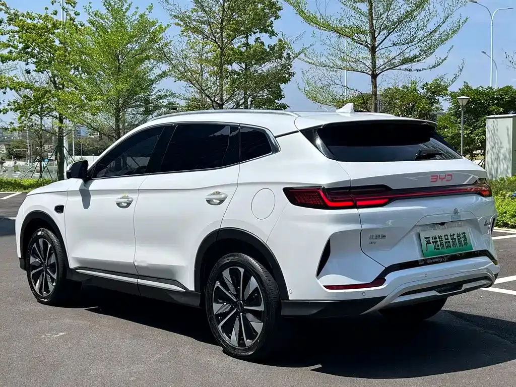 BYD PLUS New Energy — фото 3