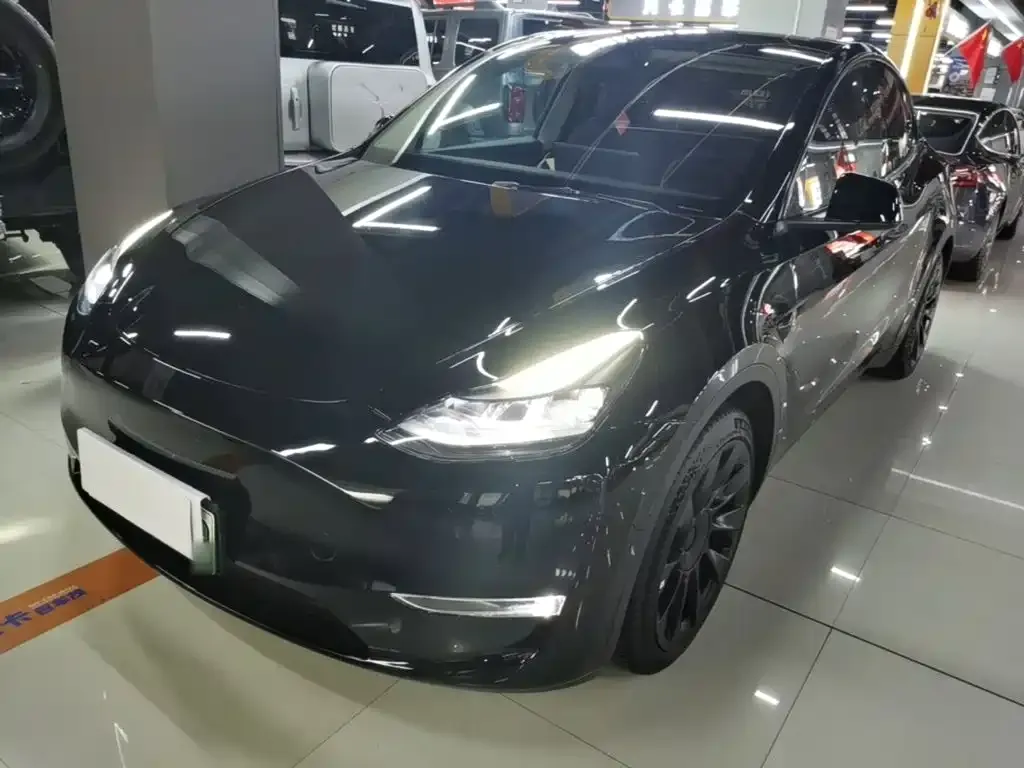 Tesla Model Y — фото 10