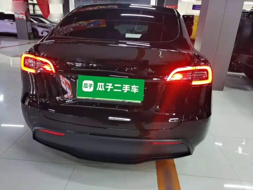 Tesla Model Y — фото 9