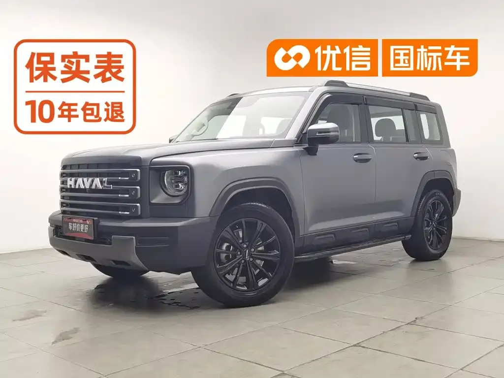 Haval Menglong New Energy — фото 1