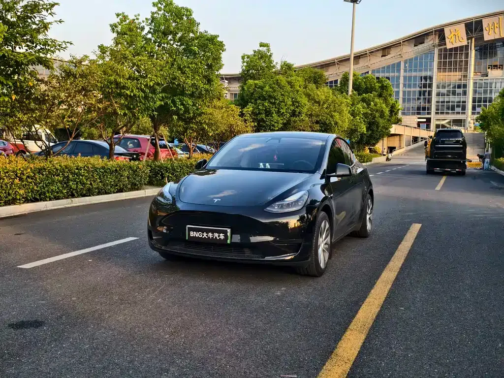 Tesla Model Y — фото 1