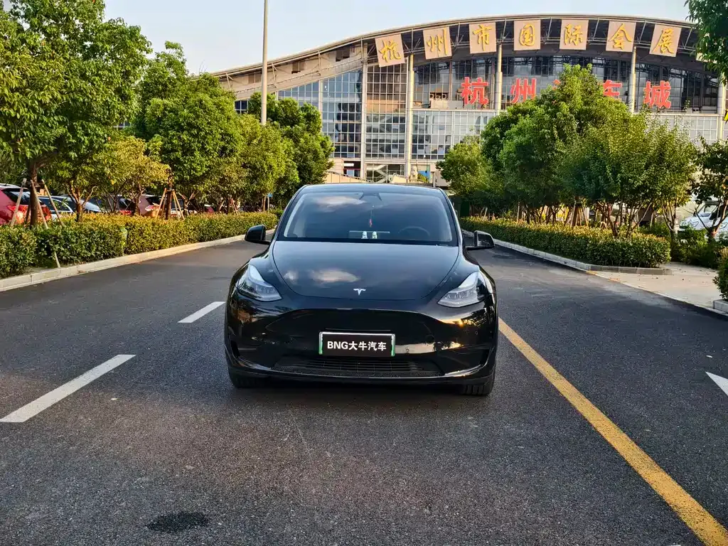 Tesla Model Y — фото 4