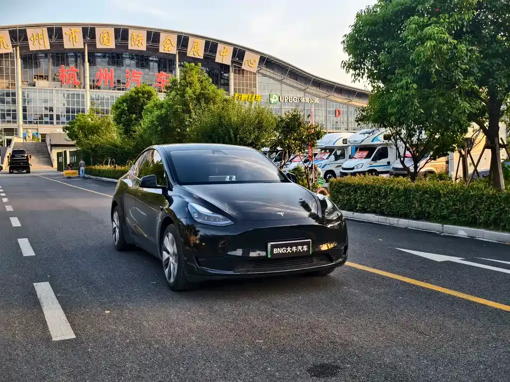 Tesla Model Y — фото 9