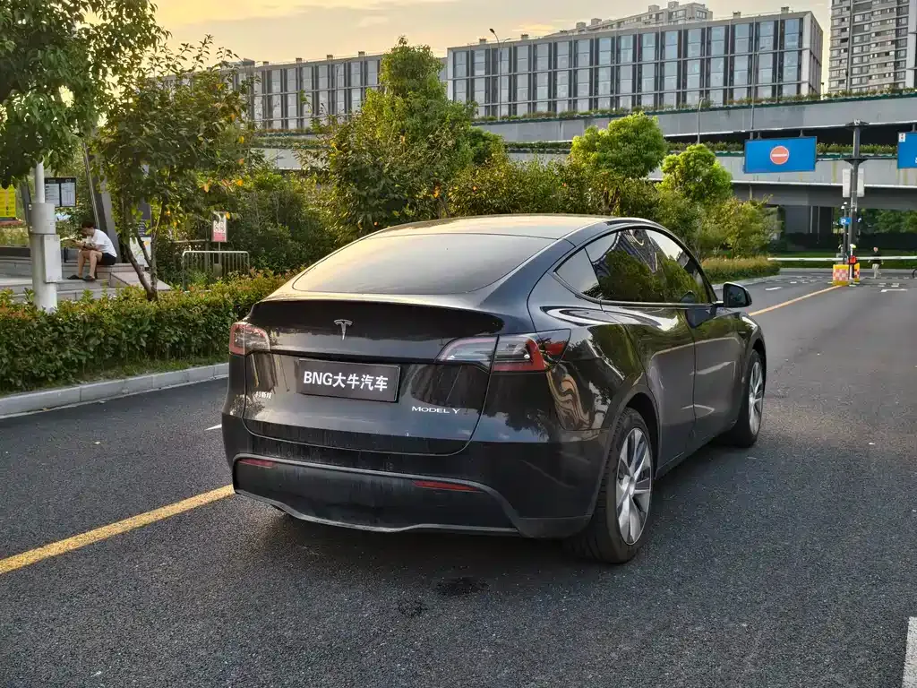 Tesla Model Y — фото 8