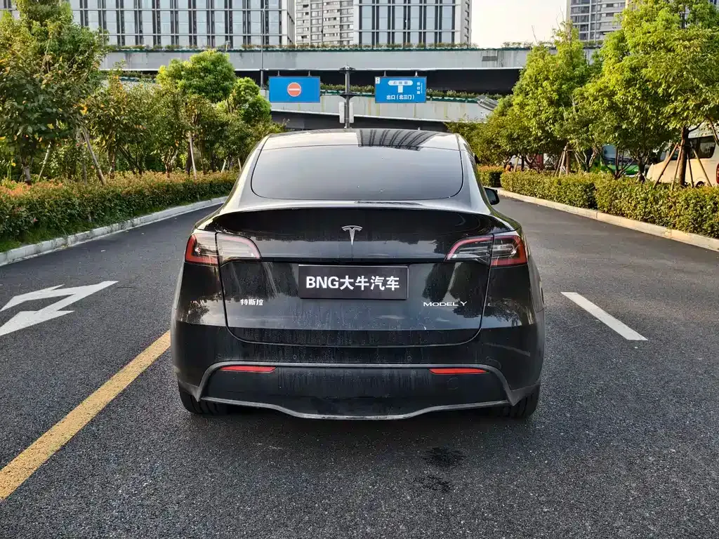 Tesla Model Y — фото 7
