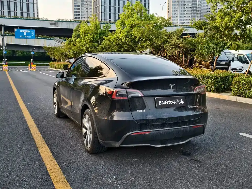Tesla Model Y — фото 6