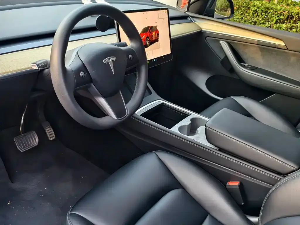 Tesla Model Y — фото 10