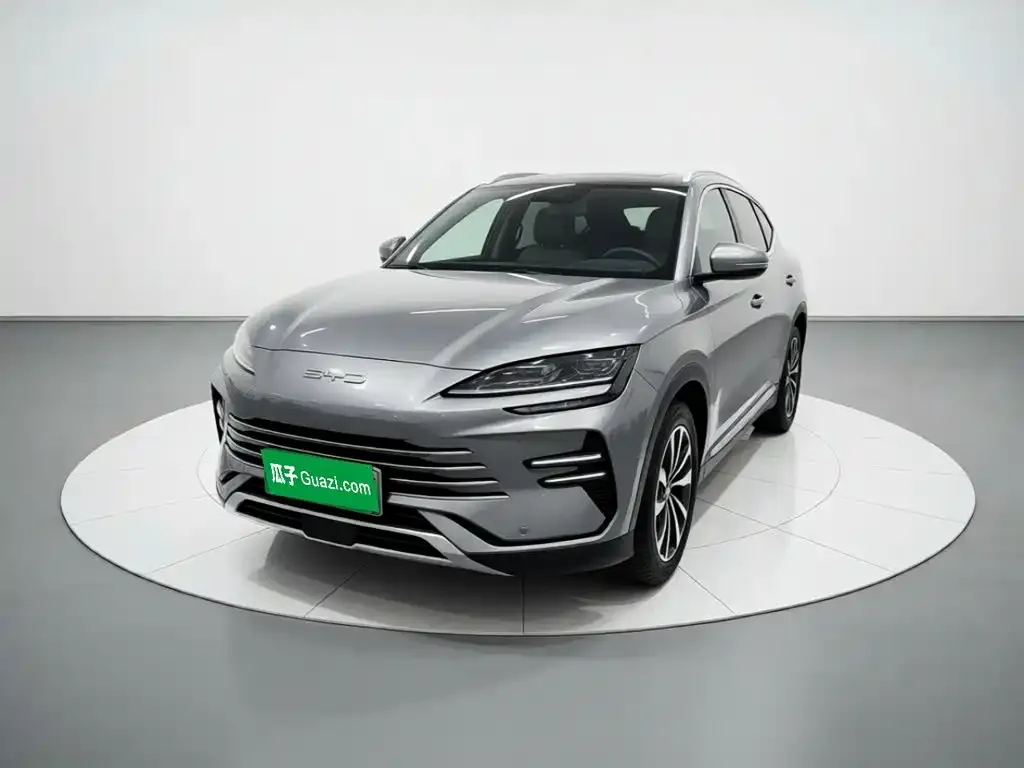BYD PLUS New Energy — фото 1