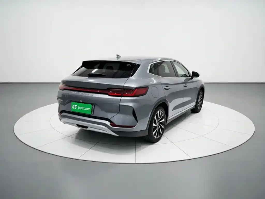 BYD PLUS New Energy — фото 10