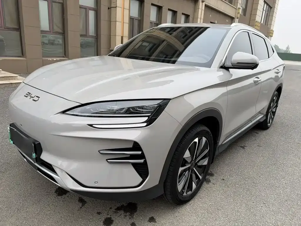 BYD PLUS New Energy — фото 1