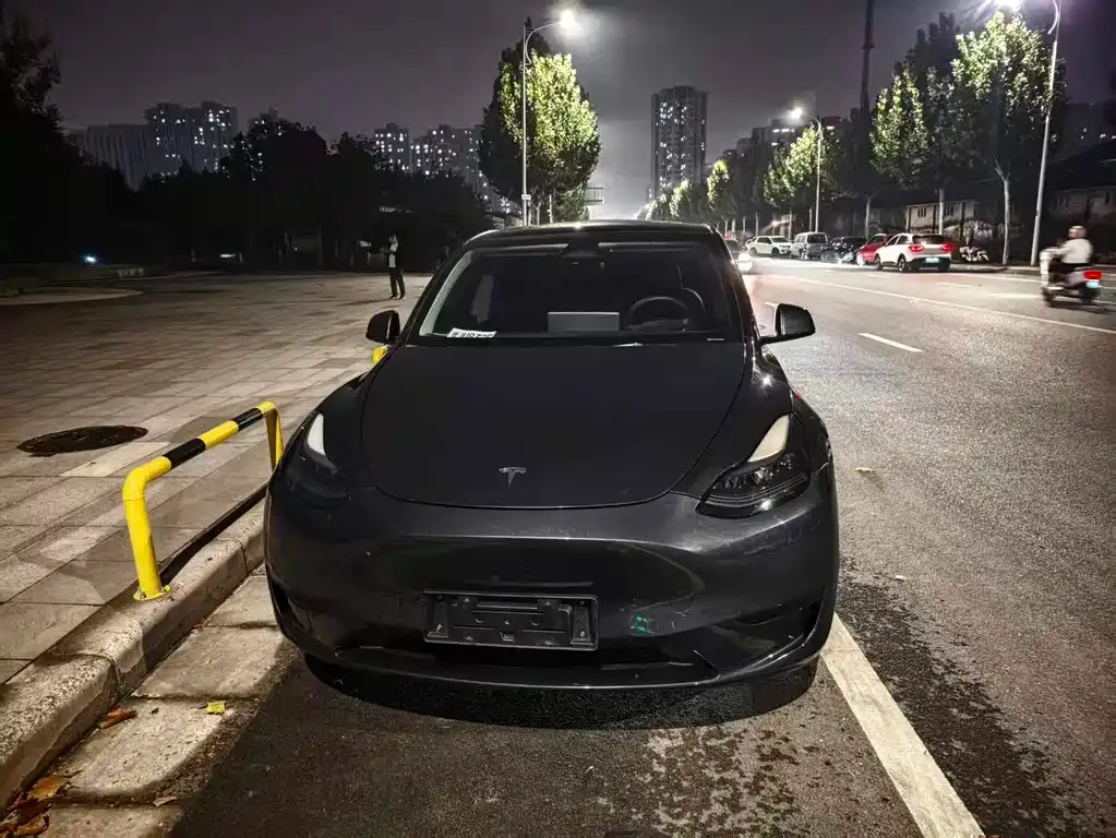 Tesla Model Y — фото 1