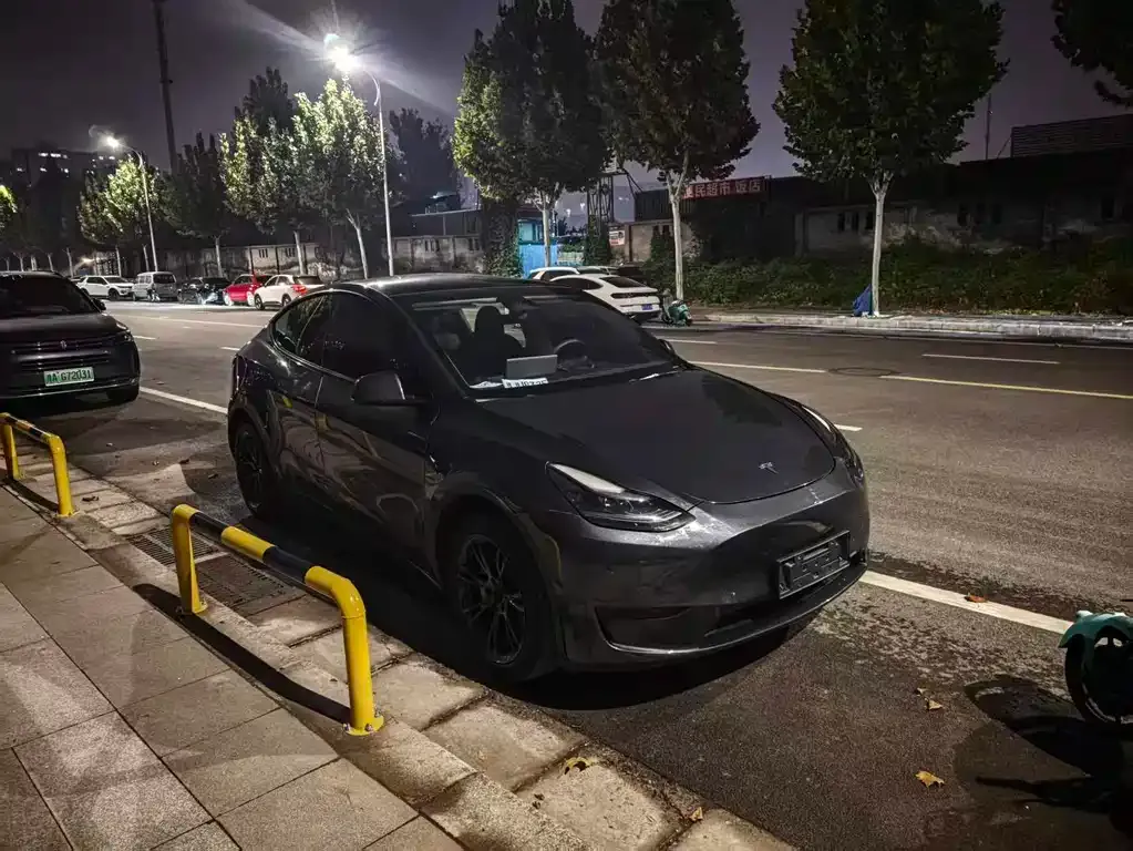 Tesla Model Y — фото 3