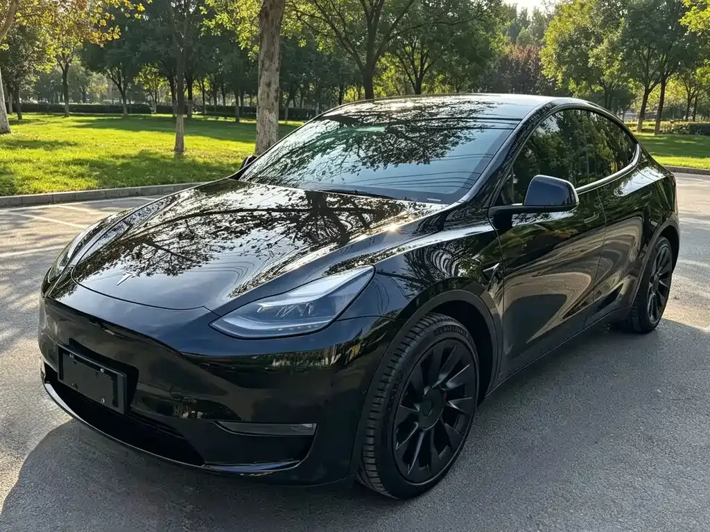 Tesla Model Y — фото 1
