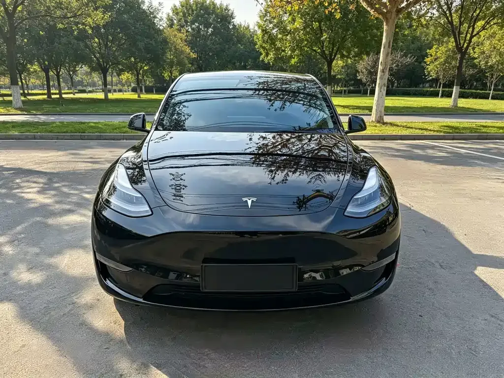 Tesla Model Y — фото 7