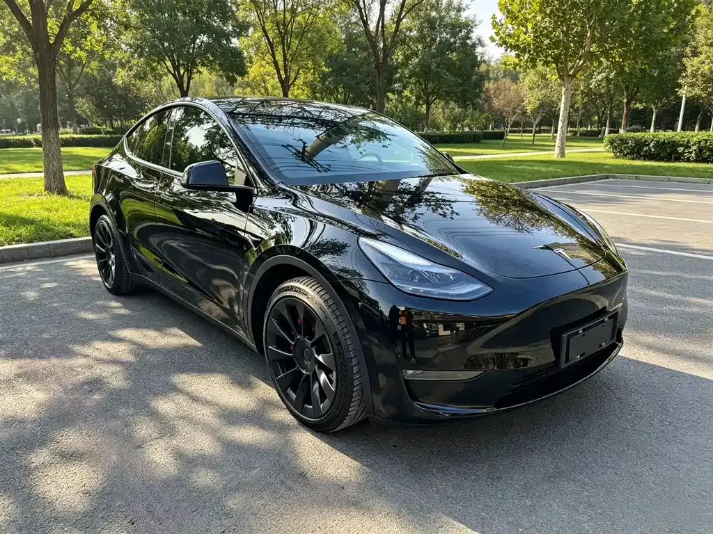 Tesla Model Y — фото 9