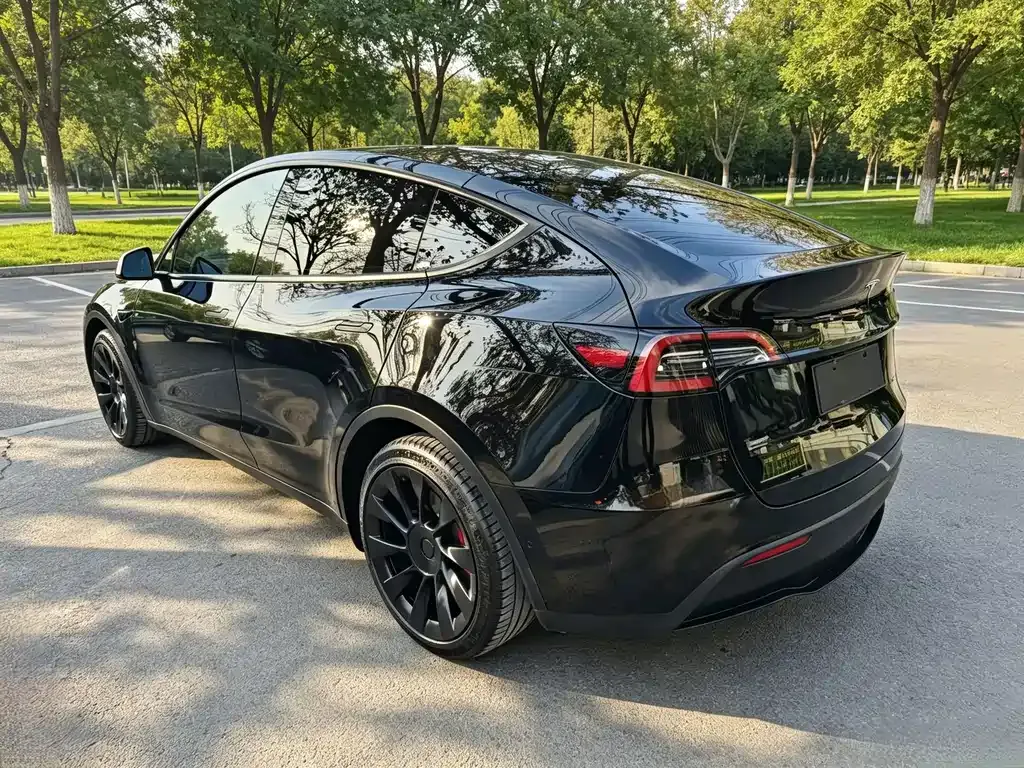 Tesla Model Y — фото 8