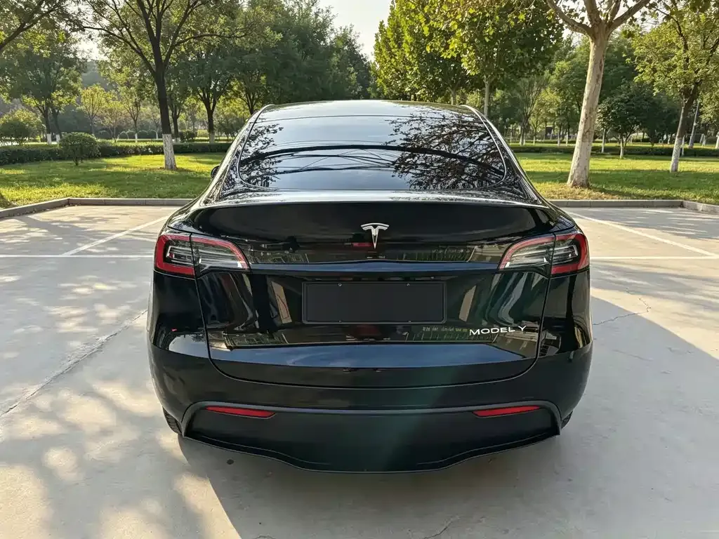 Tesla Model Y — фото 4