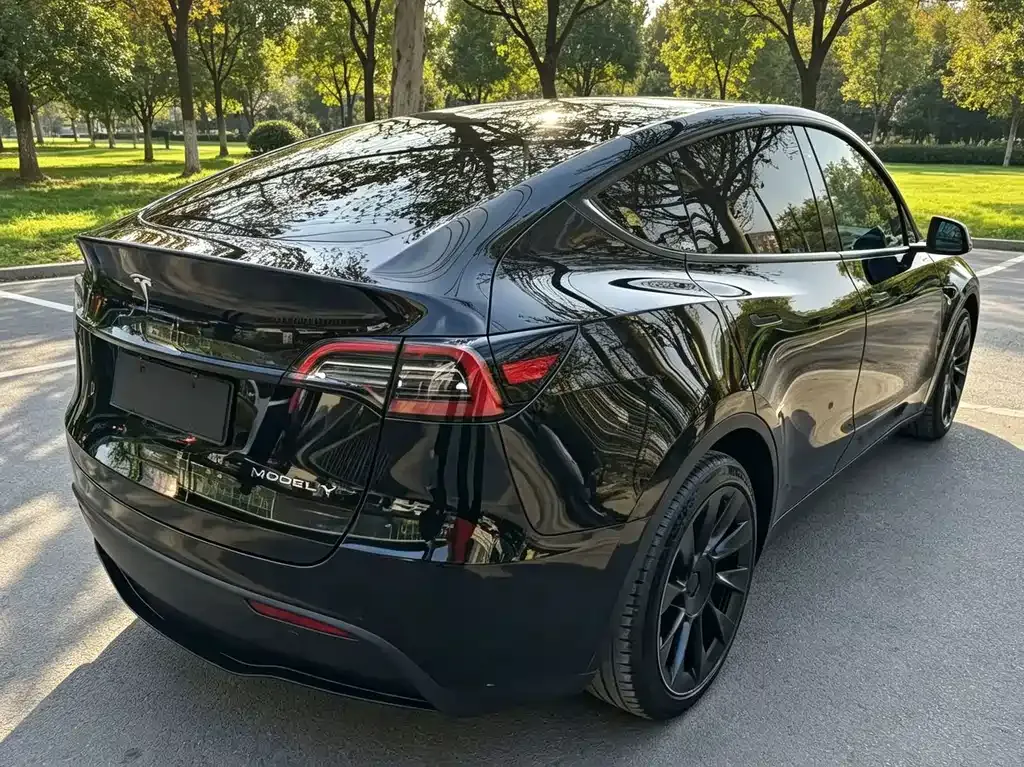 Tesla Model Y — фото 6