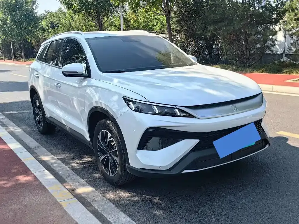BYD Pro New Energy — фото 3