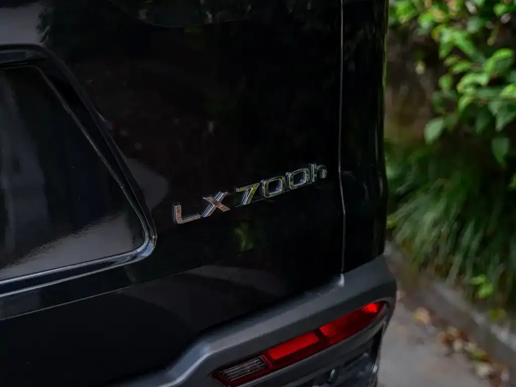 Lexus LX — фото 9