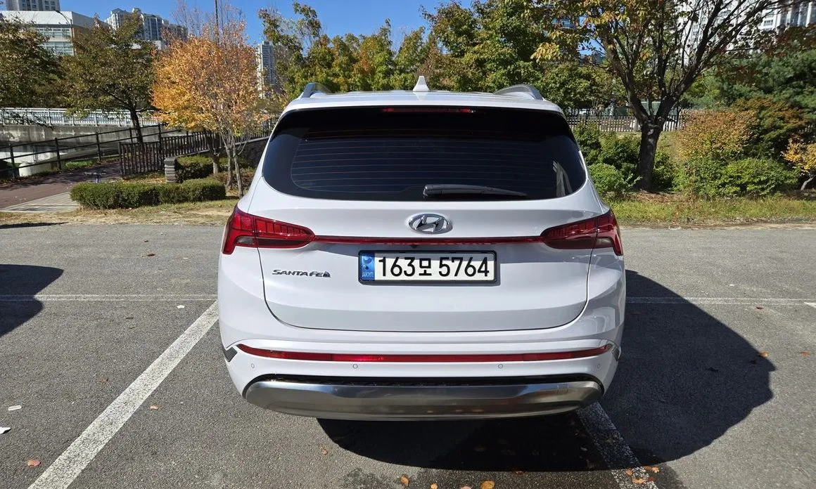 Hyundai Santafe — фото 10