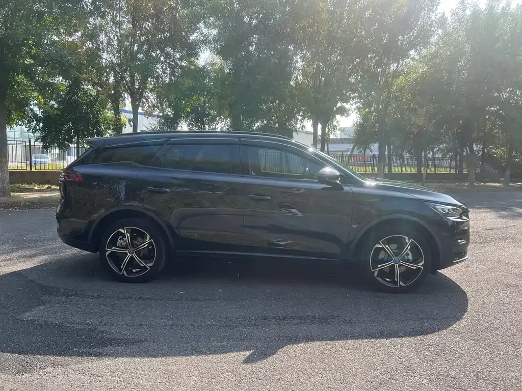 BYD Tang New Energy — фото 10