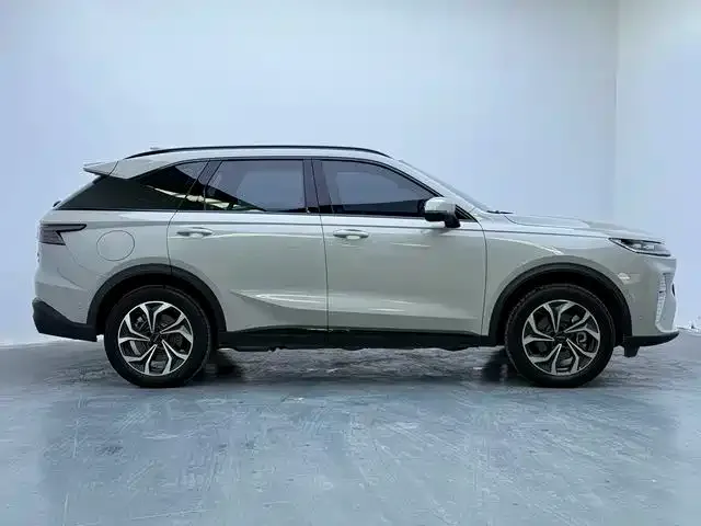 Haval Xiaolong MAX — фото 8