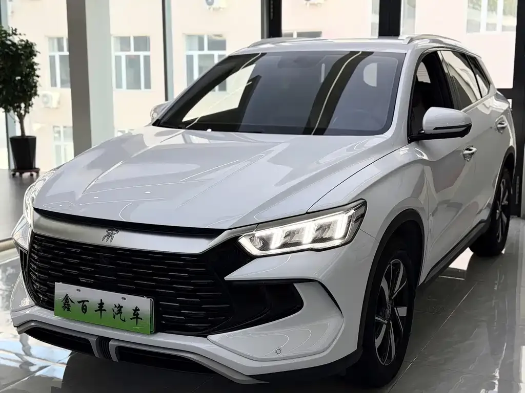 BYD Pro New Energy — фото 1