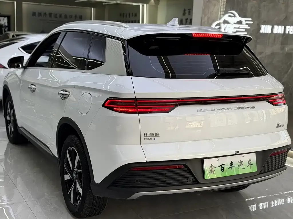 BYD Pro New Energy — фото 10