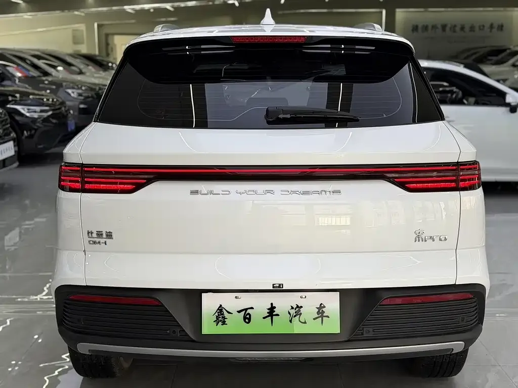 BYD Pro New Energy — фото 4