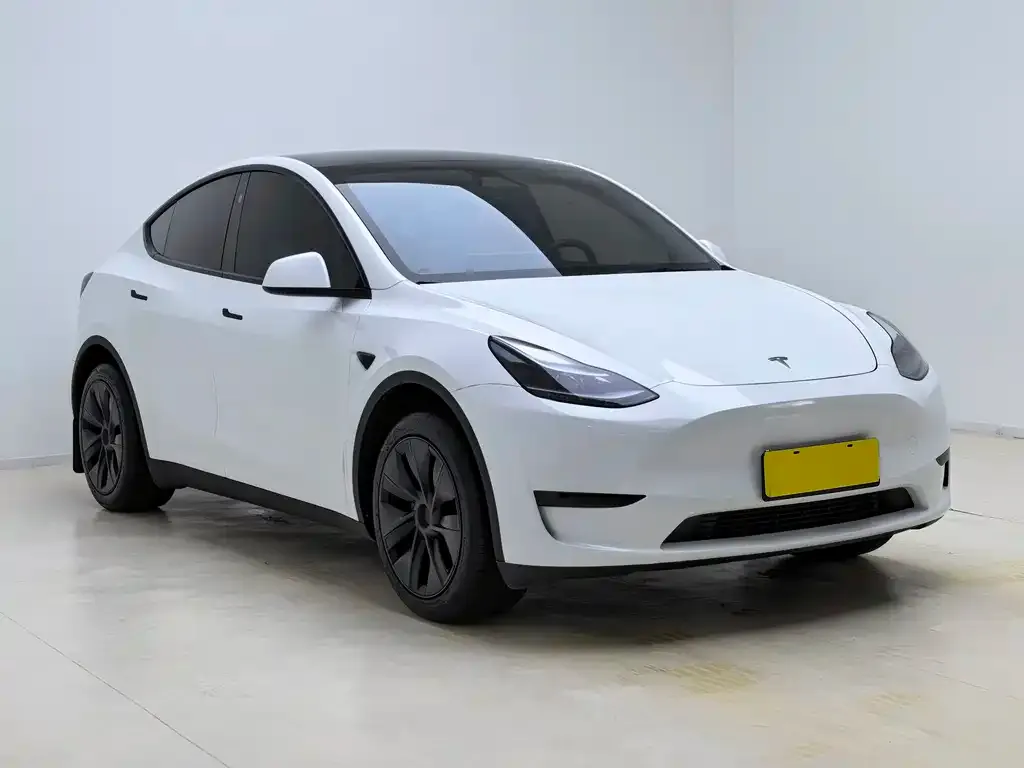 Tesla Model Y — фото 8