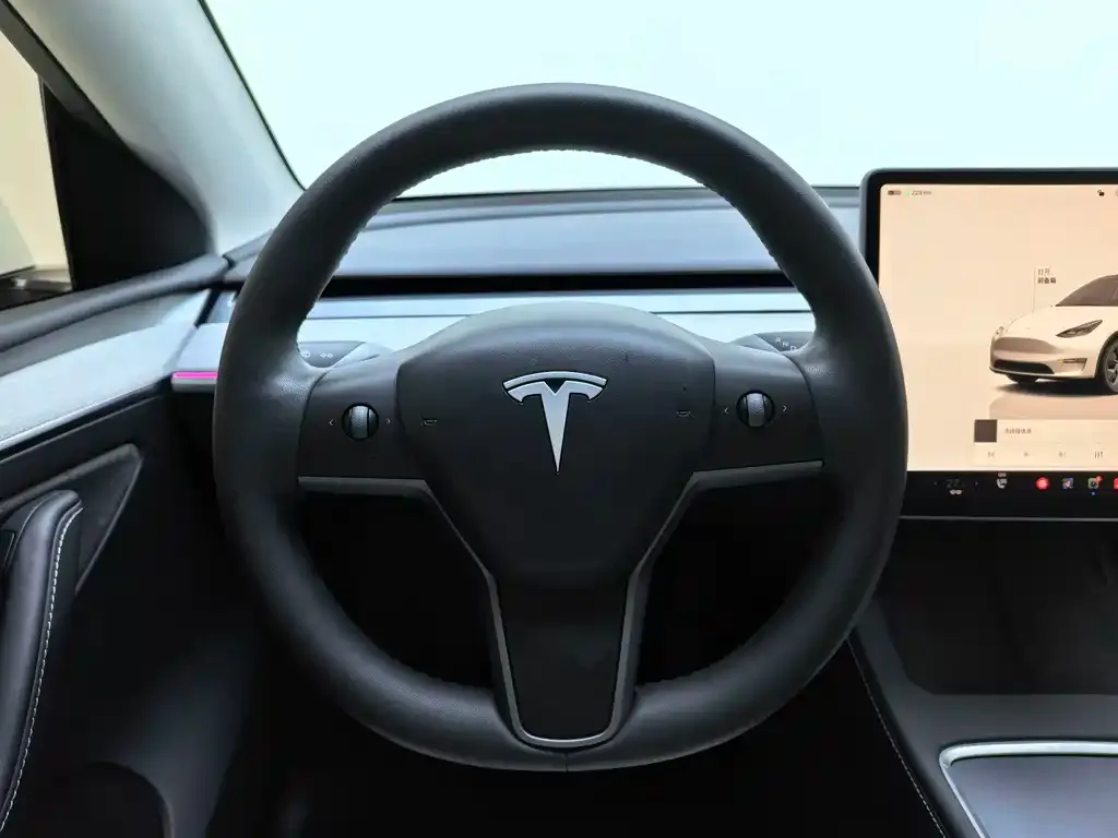 Tesla Model Y — фото 10