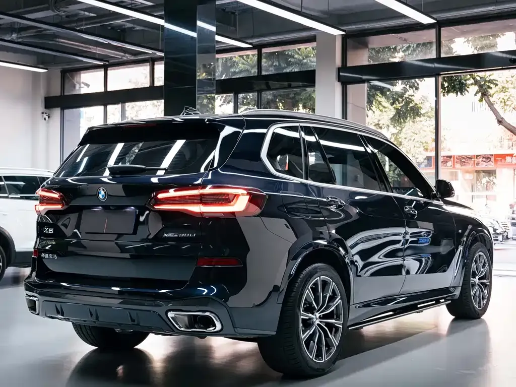 BMW X5 — фото 8