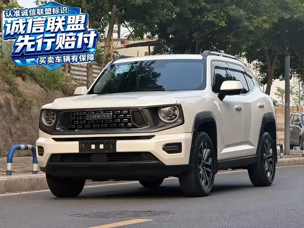 Haval Big Dog PLUS — фото 1