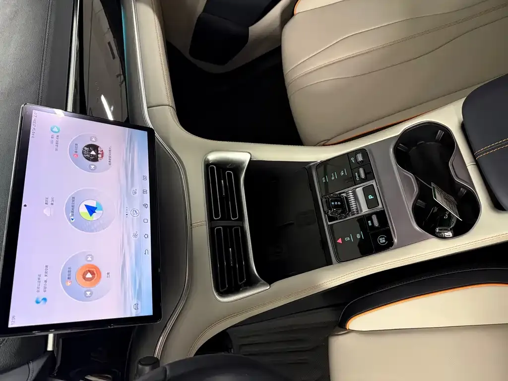 BYD PLUS New Energy — фото 10