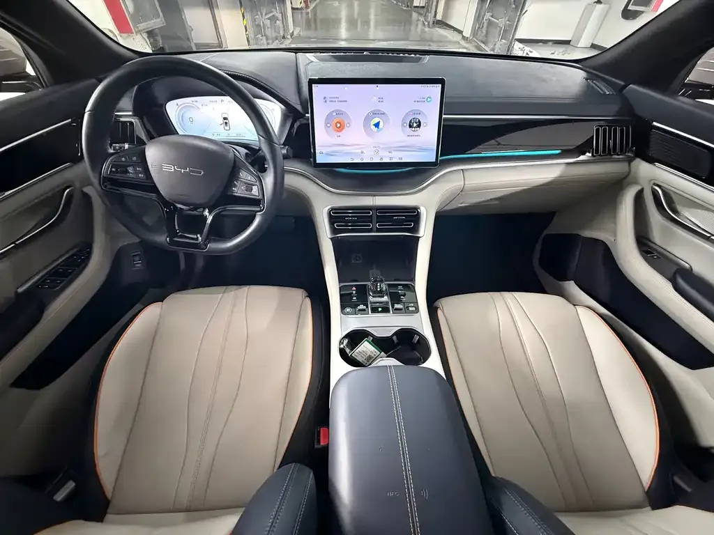BYD PLUS New Energy — фото 8