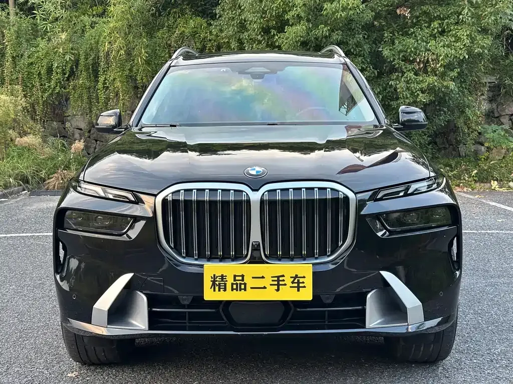 BMW X7 — фото 9