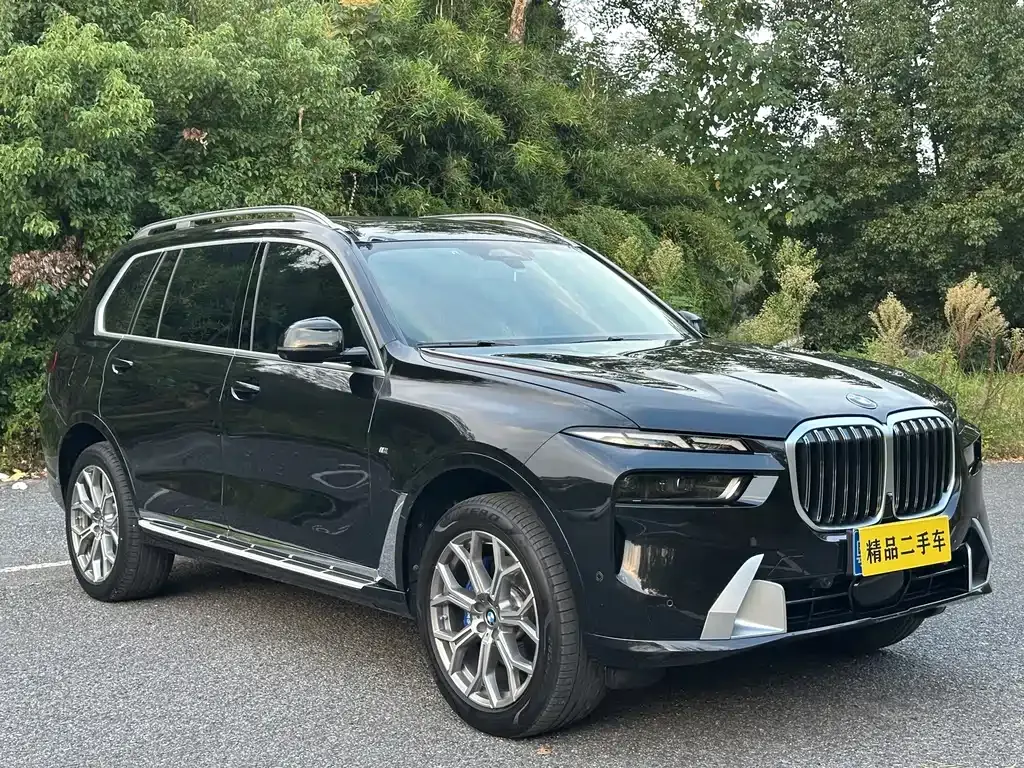 BMW X7 — фото 5