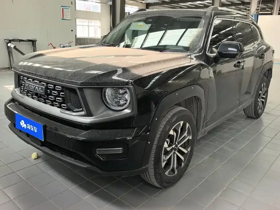 Haval Big Dog PLUS — фото 1