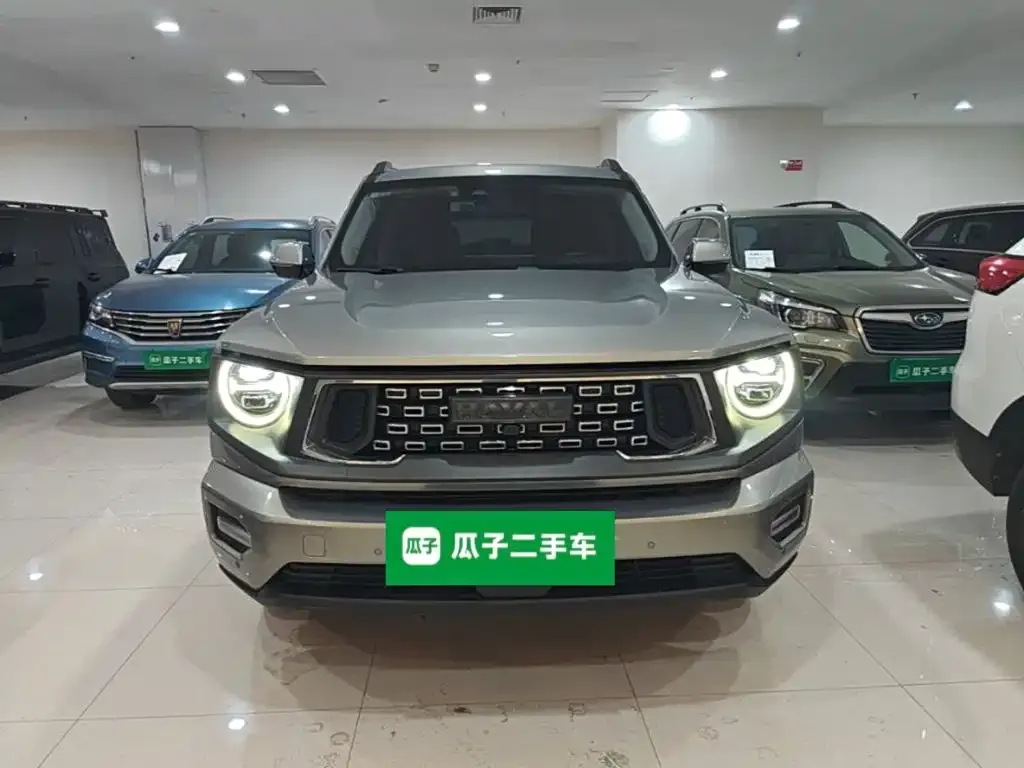 Haval Big Dog PLUS New Energy — фото 4