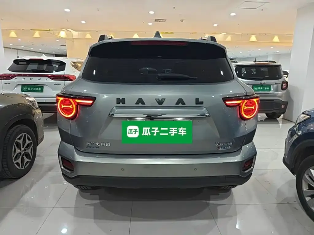 Haval Big Dog PLUS New Energy — фото 5