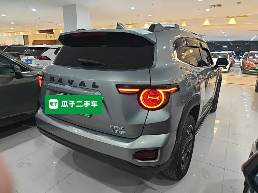 Haval Big Dog PLUS New Energy — фото 8