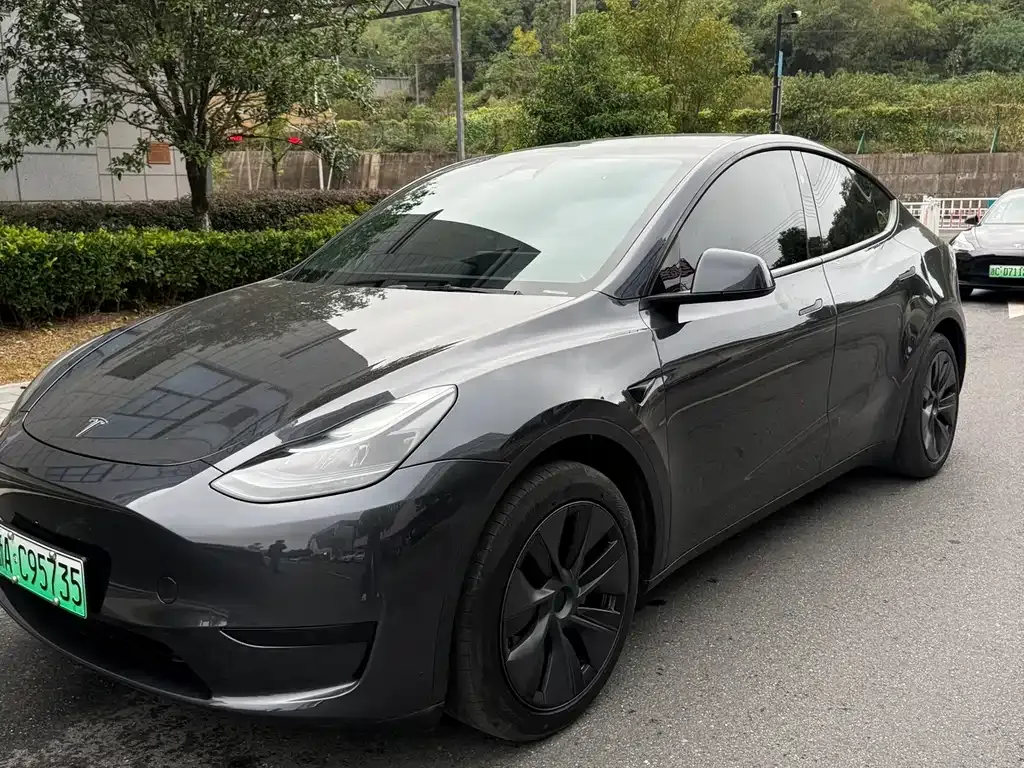 Tesla Model Y — фото 1