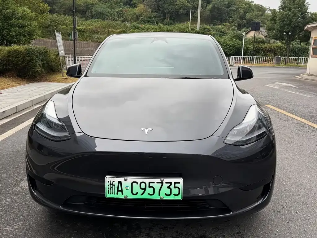 Tesla Model Y — фото 6