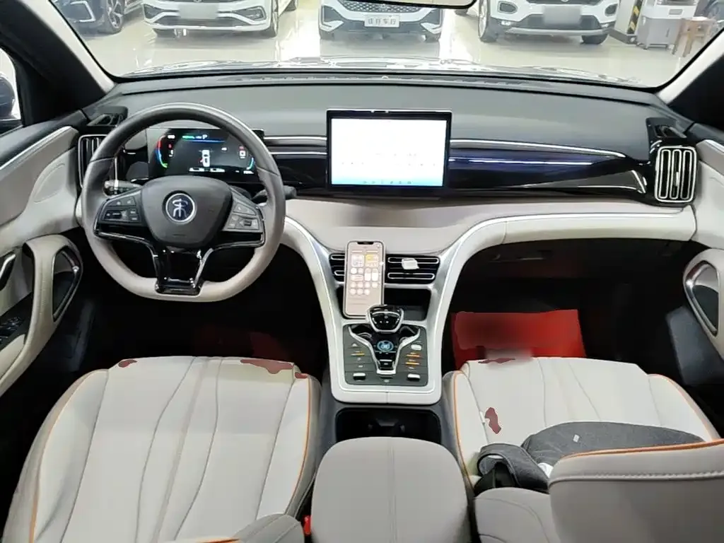 BYD Pro New Energy — фото 10